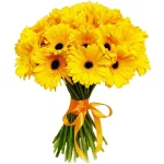 Герберы желтые